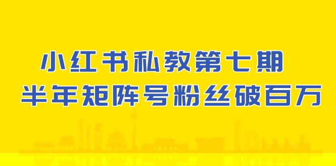 (10650期）小红书-私教第七期，小红书90天涨粉18w，1周涨粉破万 半年矩阵号粉丝破百万-点藏周边