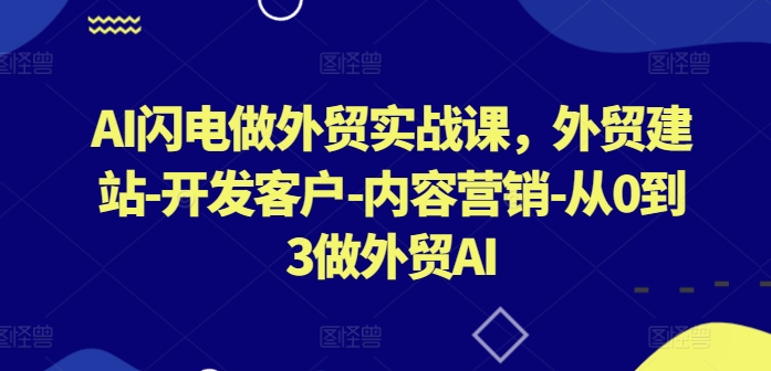 AI闪电做外贸实战课，​外贸建站-开发客户-内容营销-从0到3做外贸AI-点藏周边