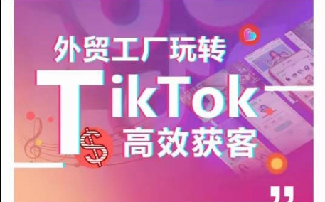 外贸工厂玩转TikTok高效获客，多种引流方式与账号定位技巧，拆解爆款短视频打造成功案例-点藏周边