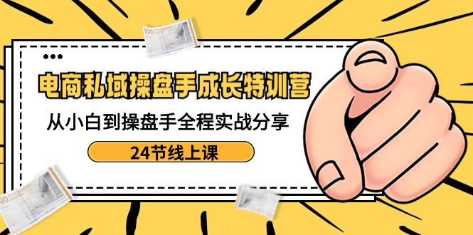 电商私域-操盘手成长特训营：从小白到操盘手全程实战分享-24节线上课-点藏周边