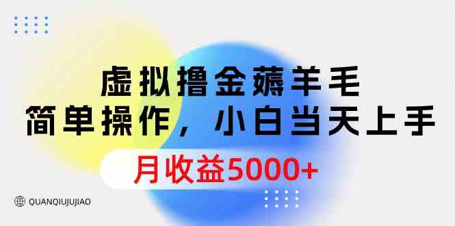 （9864期）虚拟撸金薅羊毛，简单操作，小白当天上手，月收益5000+-点藏周边