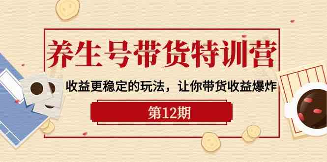 养生号带货特训营【12期】收益更稳定的玩法，让你带货收益爆炸（9节直播课）-点藏周边